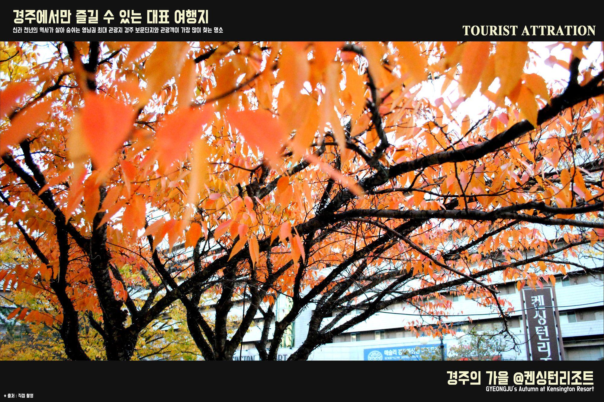 Kensington Resort Gyeongju Exterior foto